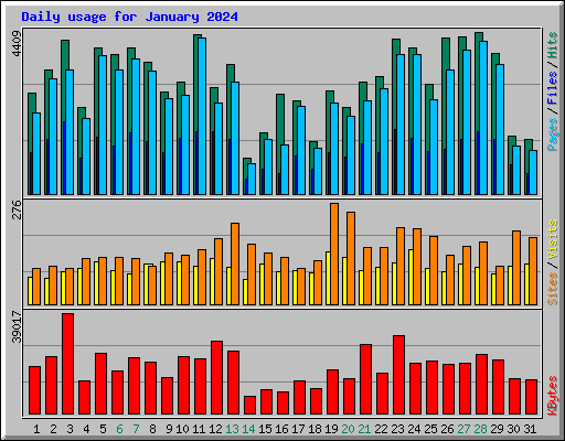 Daily usage for January 2024