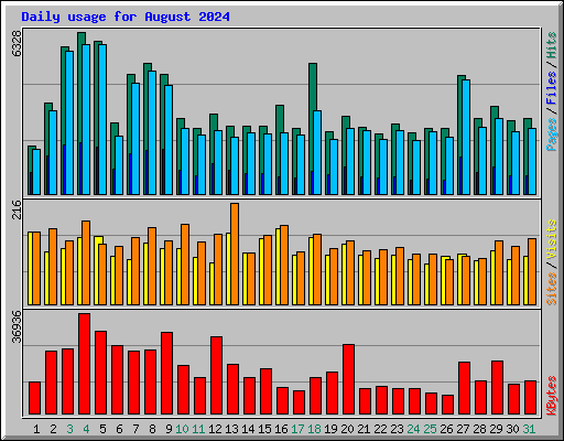 Daily usage for August 2024