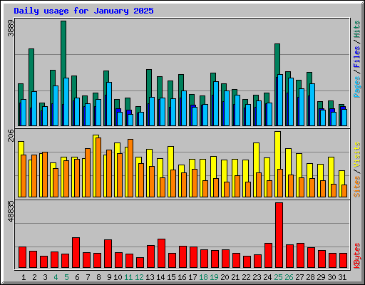 Daily usage for January 2025