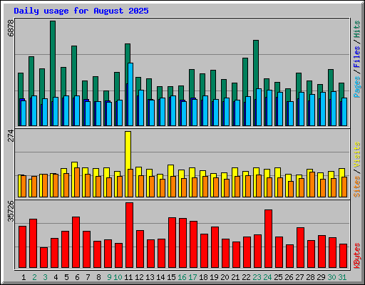 Daily usage for August 2025