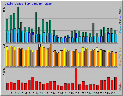 Daily usage for January 2026