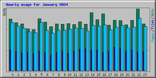 Hourly usage for January 2024
