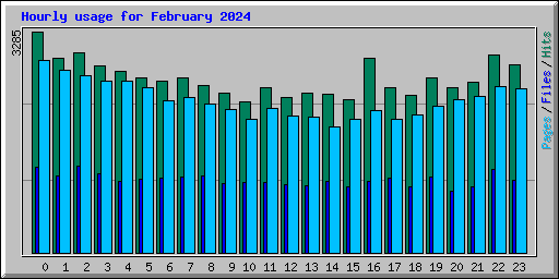Hourly usage for February 2024