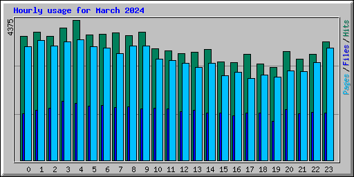 Hourly usage for March 2024