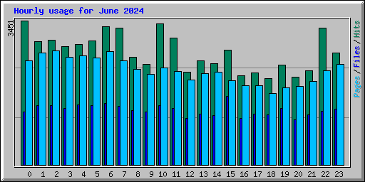 Hourly usage for June 2024