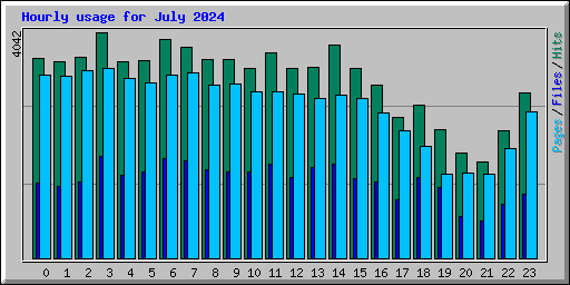 Hourly usage for July 2024