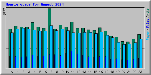 Hourly usage for August 2024