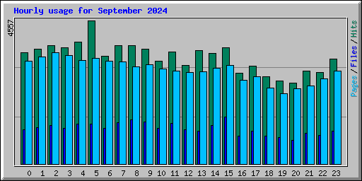 Hourly usage for September 2024