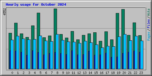 Hourly usage for October 2024