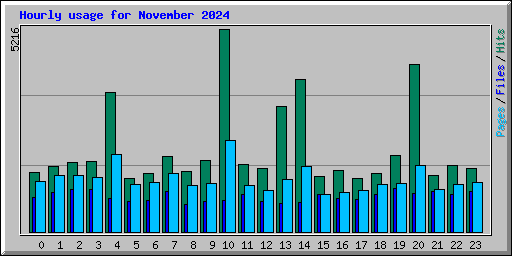 Hourly usage for November 2024