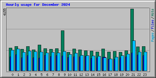 Hourly usage for December 2024