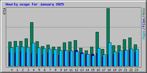 Hourly usage for January 2025