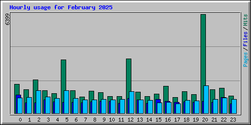 Hourly usage for February 2025