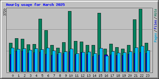 Hourly usage for March 2025