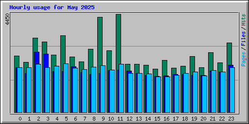 Hourly usage for May 2025