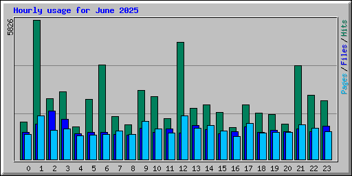 Hourly usage for June 2025