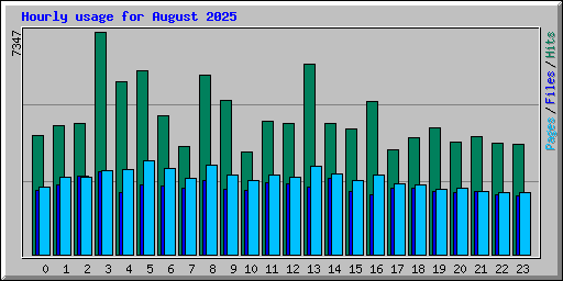 Hourly usage for August 2025