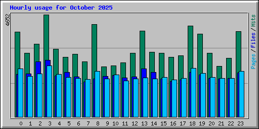 Hourly usage for October 2025