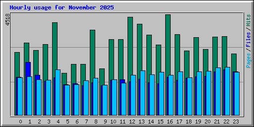 Hourly usage for November 2025