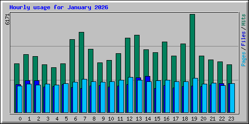Hourly usage for January 2026