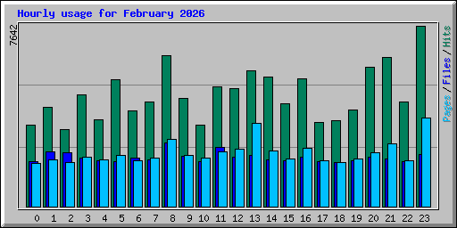Hourly usage for February 2026